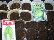 読書の秋に・・・