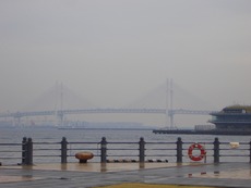 横浜歩き(^。^)y-.。o○
