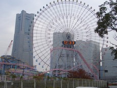 横浜歩き(^。^)y-.。o○
