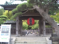 鎌倉・長谷寺に行って来たよ(^。^)y-.。o○