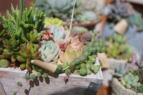 ふくろい宿 de 花マルシェ 2018 ★レポート＜2＞