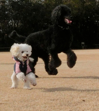 1月分 part.4 2013/02/13 11:19:47