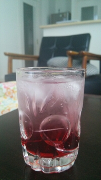 自家製♪ 2013/09/02 23:20:28