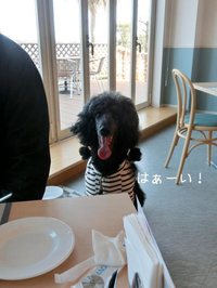 いいもの見れた♪