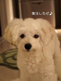 脱エリ 2012/10/12 17:56:49