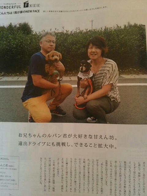 トリミングに来てくださったワンちゃんが