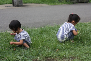 葛西臨海公園