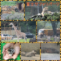 富士サファリパーク