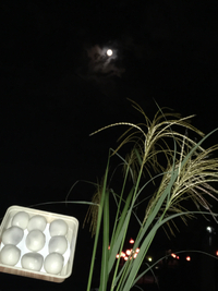 月に叢雲、花に風 2017/10/04 22:33:49