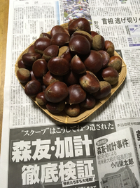 モリカケ徹底検証 2017/10/24 18:27:13