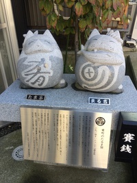 明日は、いよいよ、まるたま市❗️
