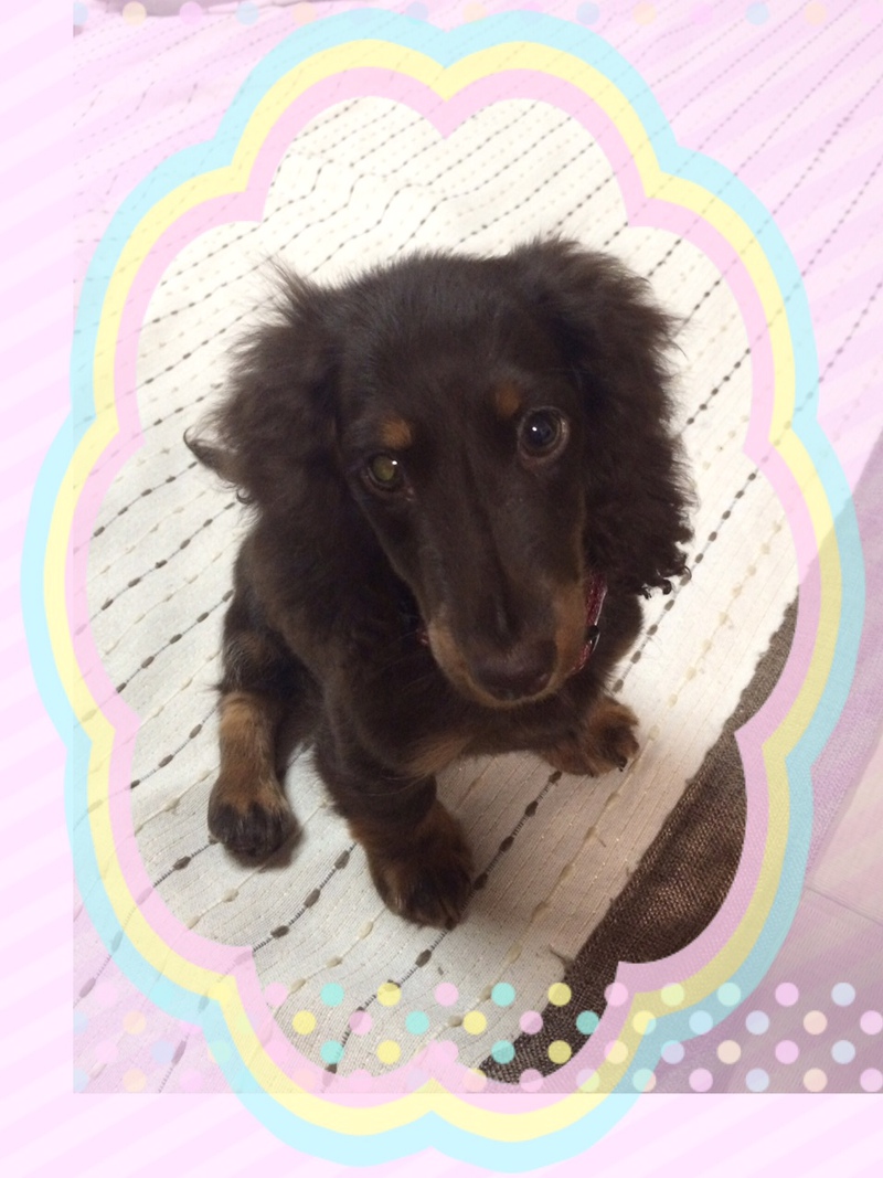 新入社員紹介★新しい仲間をよろしくお願いします★