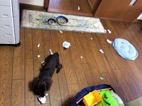 マルワンの1日 2016/07/26 16:05:11