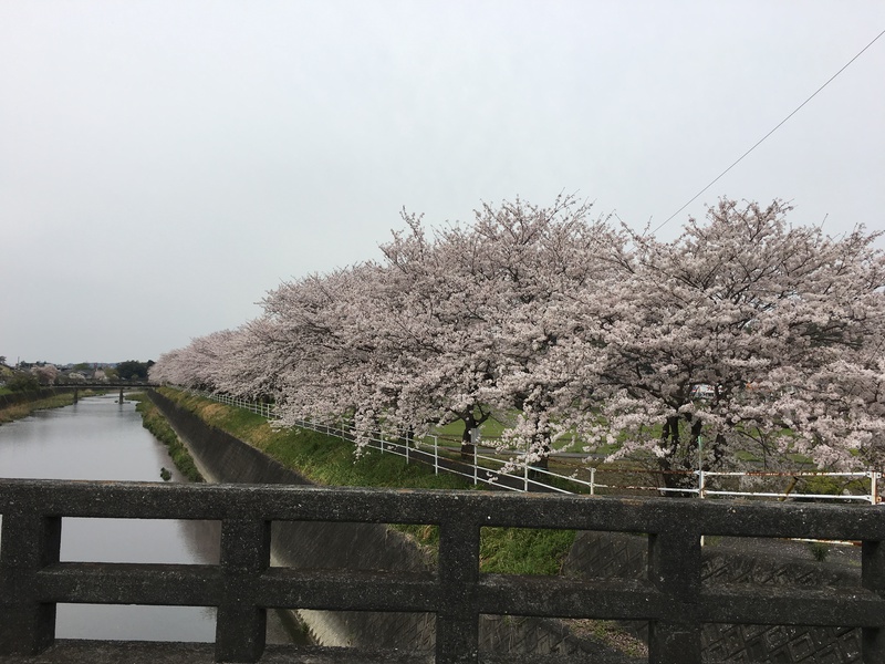 興味のあった宇津ノ谷峠