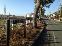 強風にさらされて・・・新居宿～白須賀宿　そして二川宿へ 2015/12/12 12:22:31
