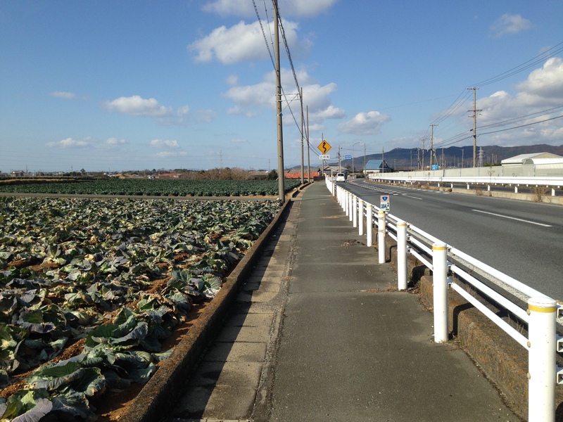 強風にさらされて・・・新居宿～白須賀宿　そして二川宿へ