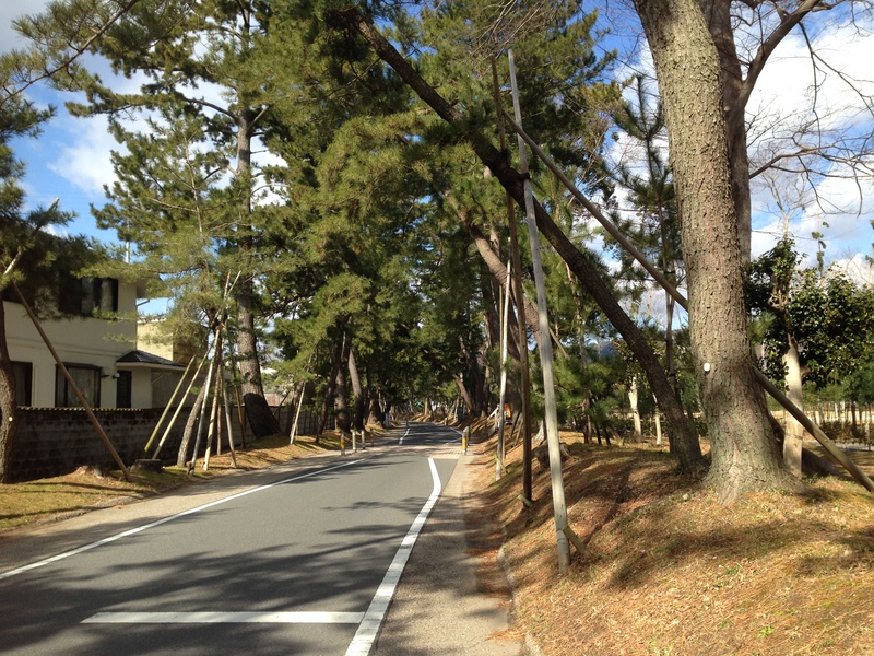 お正月気分もすっかり抜けて、吉田宿～御油宿、そして赤坂宿へ