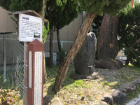 東海道西ルート完結 2017/06/08 10:02:36