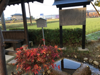 本当に久しぶりな東海道ウォーキング 2017/06/07 09:57:51