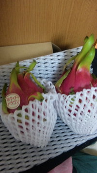 お届け物 2013/09/20 12:17:41