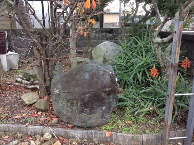 庭石撤去処分