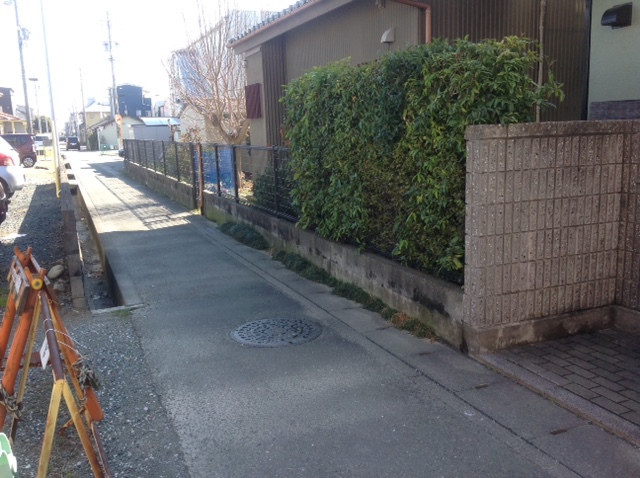 解体下見