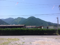 初夏の浦川 2016/06/28 09:21:05