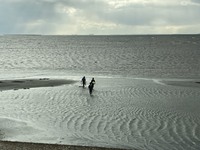 三河湾のポテンシャルの話 2021/04/19 23:23:37