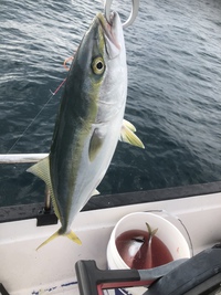 鯛ラバで青物の話 2021/09/20 19:17:10