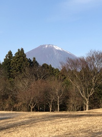 あけましたおめでとうの話 2021/01/03 23:21:11