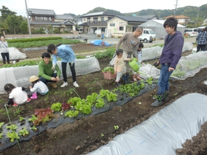 和気あいあいの農園交流会