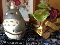 癒し☆ 2013/09/19 11:36:27