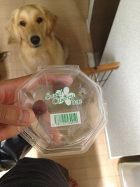 U^ェ^U 2013/05/21 13:16:51