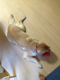 今日は 2012/10/15 06:38:39