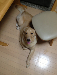 楽しかったぁ（≧∇≦） 2012/10/04 18:19:45
