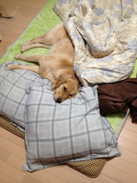 湿気 2013/03/14 17:13:03