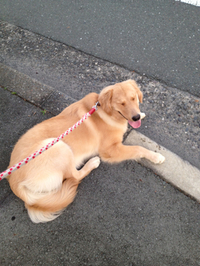 距離 2012/10/06 07:11:22