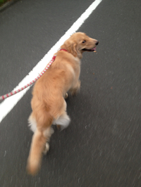 一時間 2012/10/03 07:14:13