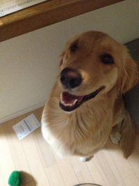 はぁ。 2013/04/18 11:48:45