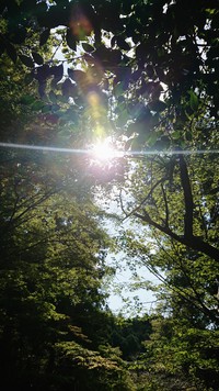 ◆ 月に一度の手相占い開催日に行ってきました ◆