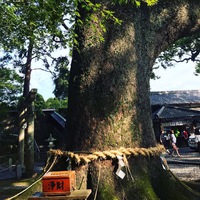 ◆ 言葉のままに思いが叶う ◆