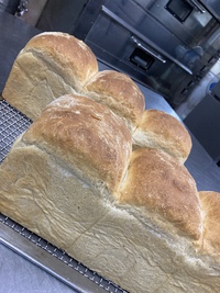 とちパン焼けました 2020/06/19 21:52:56