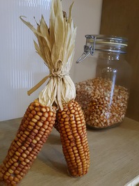 ひとつ私にくださいな 2020/05/23 09:31:33