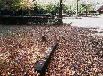 ★マロニエの里の紅葉★