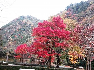 ★隠れスポット★