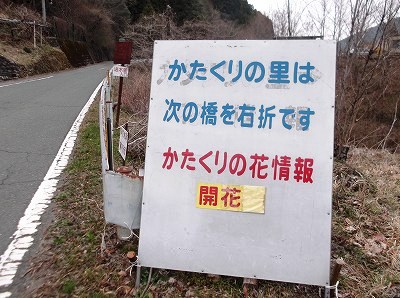 ★北遠は春本番★