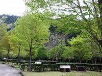 ★新緑★ 2013/04/22 08:03:24