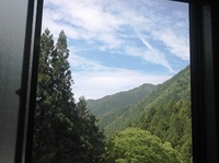 ★一番茶も終盤に★ 2013/05/19 18:59:26