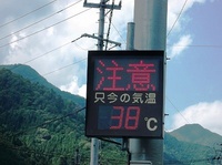 ★夏の農作業★ 2013/07/09 05:51:56