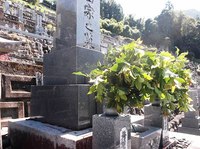 ★お彼岸入り★ 2013/09/21 07:08:35